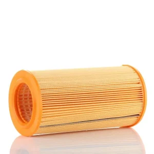 Filtr Powietrza WA20250 - PZL Sędziszów Najlepsza cena