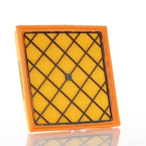 Rabat Filtr Powietrza WA50303 - PZL Sędziszów