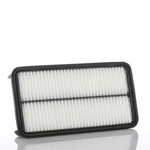 Ostatnia szansa Filtr Powietrza WA53285 - PZL Sędziszów