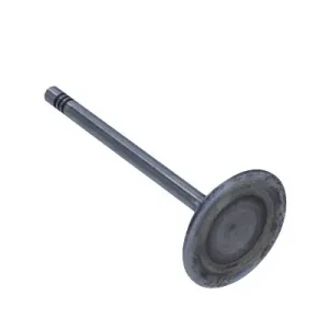 Szybka dostawa FRECCIA ZAWÓR SSĄCY 1.6 8V R6155/S