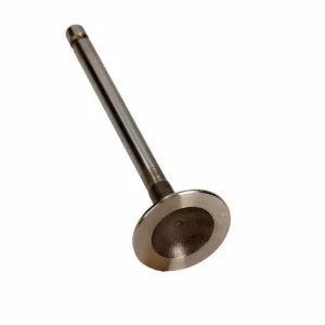 Oryginalny FRECCIA ZAWÓR SSĄCY MERCEDES 1.8 16V R6470/SCR