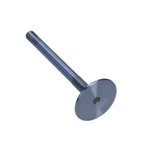 Oferta limitowana FRECCIA ZAWÓR SSĄCY R4483/SCR VW 1.9TD/2.4D 8V/12V