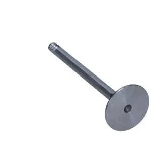 Oferta limitowana FRECCIA Zawór ssący R4886/S VW 1.0 8V