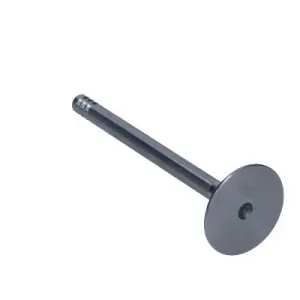 Ekspresowa dostawa FRECCIA Zawór ssący R4964/S VW 1.0 8V