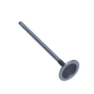 Wyprzedaż FRECCIA Zawór Ssący R6663/S Peugeot 1.6 16V