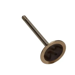 Bezpieczna płatność FRECCIA ZAWÓR SSĄCY VW 1.6/2.0 8V R4806/S