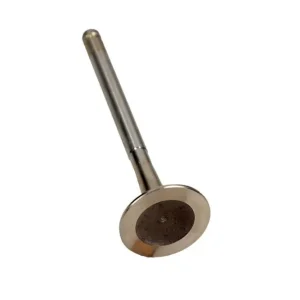 FRECCIA Zawór Wydechowy R6154/RCR FIAT 1.6 16V Najlepsza cena