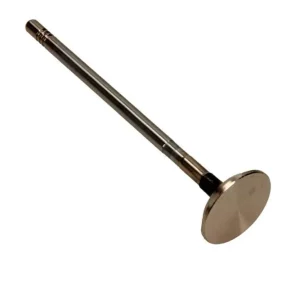 FRECCIA ZAWÓR WYDECHOWY R6340/BMCR FIAT 2.3 16V JTD Ostatnia szansa