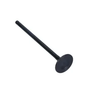 Nowość FRECCIA ZAWÓR WYDECHOWY R6541/RNT NISSAN 1.6 16V JUKE 11-