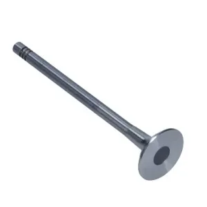 Tylko dziś FRECCIA ZAWÓR WYDECHOWY RENAULT 2.0DCI/2.3DCI 16V R6575/BM