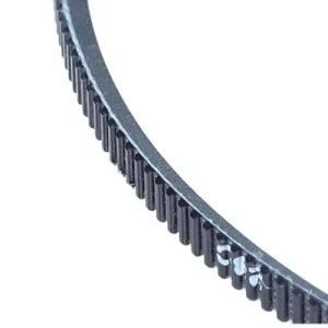 Wysoka jakość GATES Pasek Napędowy (Zębaty) 7M975 GAT7M975